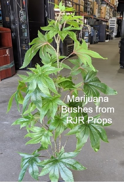 Fake Marijuana Plants, Fake Pot Plants