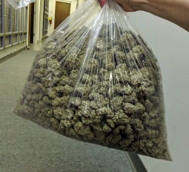 large bag of Prop Marijuana prop